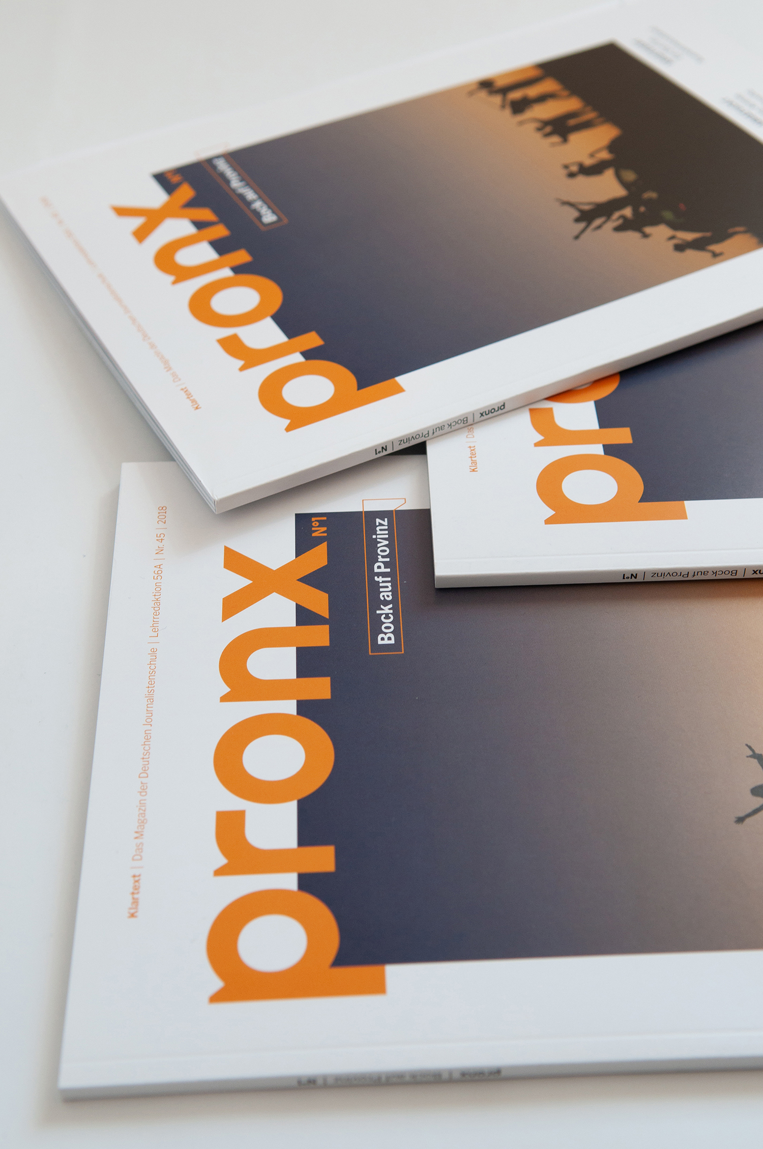 Klartext Magazin »pronx«, als Dozentin an der Deutschen Journalistenschule